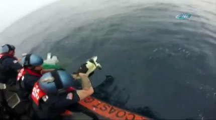 Okyanusun ortasında kambumbağa kurtarma operasyonu