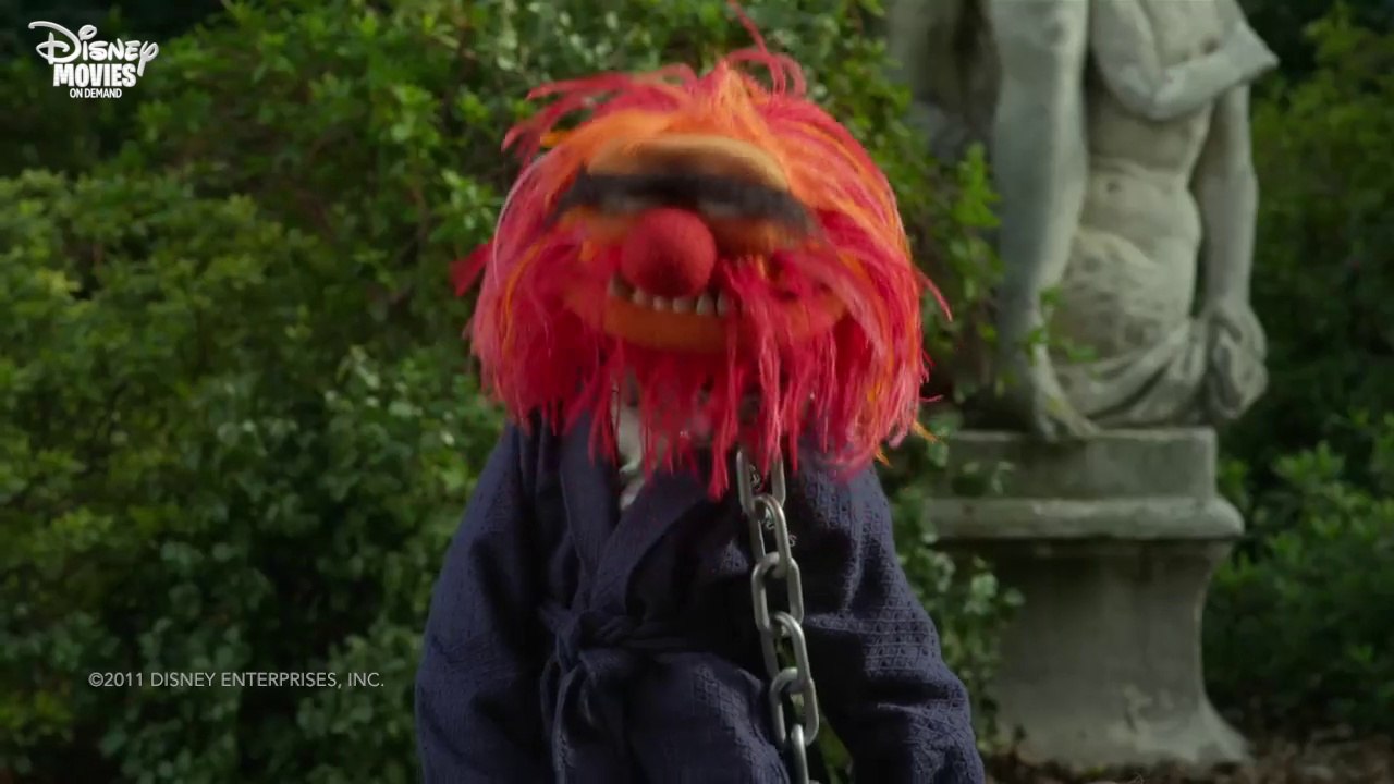 Die Muppets - Tier trommeln
