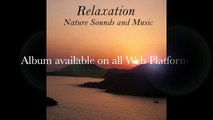 Meditation Music Relax Mind Body: Deep Relaxation Music, Yoga Music.