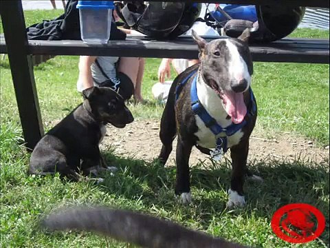 Amálka 6 díl-Sraz s Bulíkama v Mostě