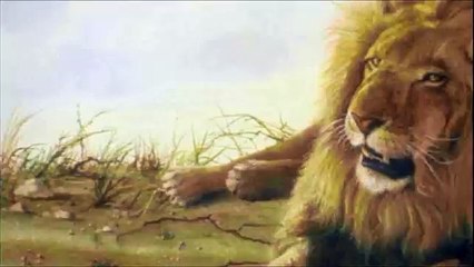 【野生動物狩】ハイエナに襲われ身動き出来ないシマウマAnd attacked by a hyena can not be hamstrung zebra