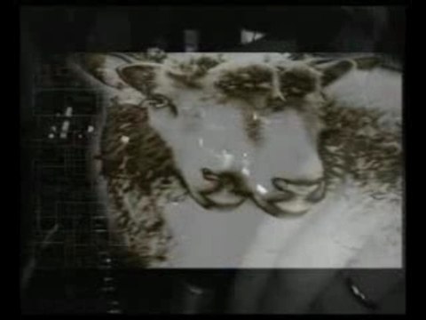 David guetta & Joachim Garraud - Red light paris