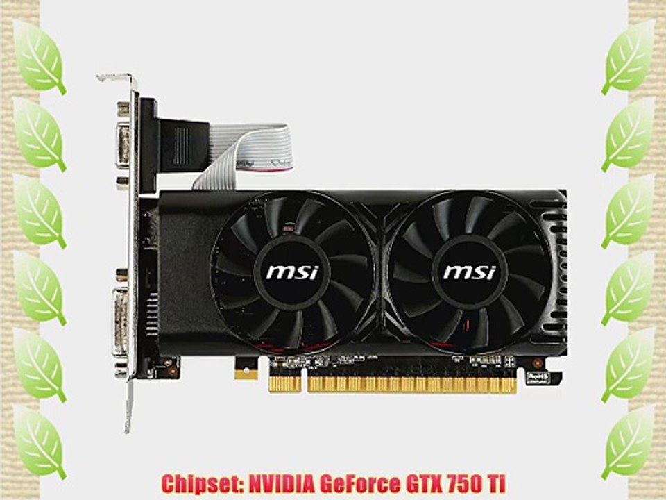 MSI Computer Graphics Cards N750TI-2GD5TLP