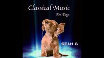 Songs For Dogs - Classical Music DESIGNED for your Dog- Prelude and Fugue No. 1