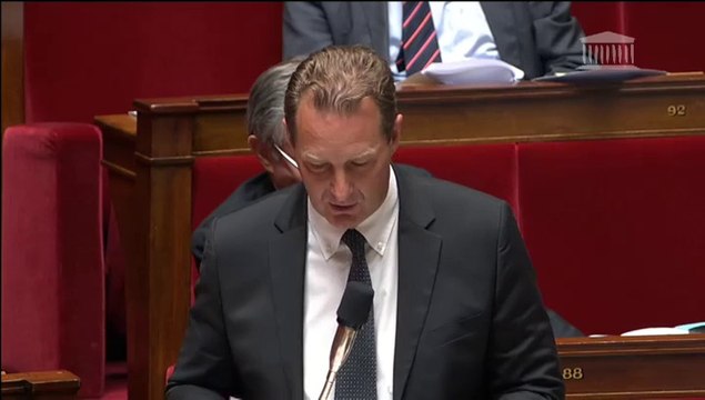 amendement aires de substitution PPL gens du voyage