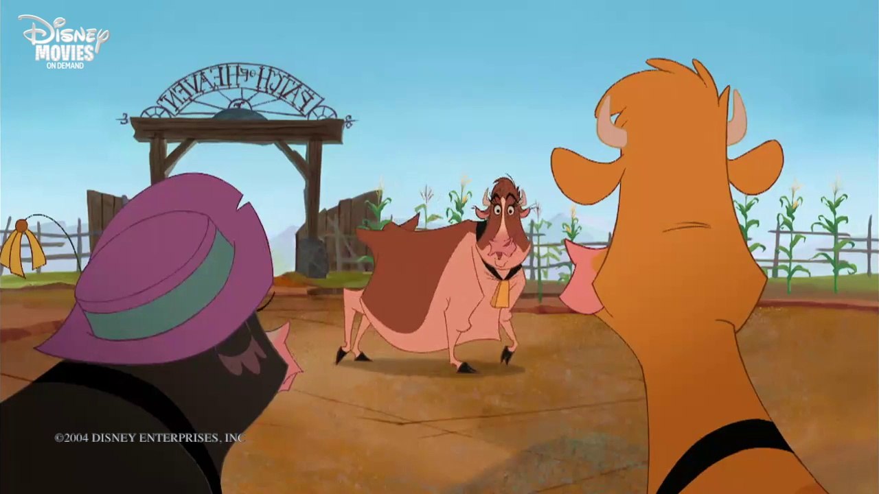 Die Kühe sind los - Patch of Heaven