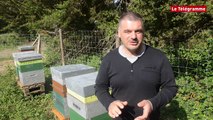 Apiculture. Cinq ruches pour produire le 
