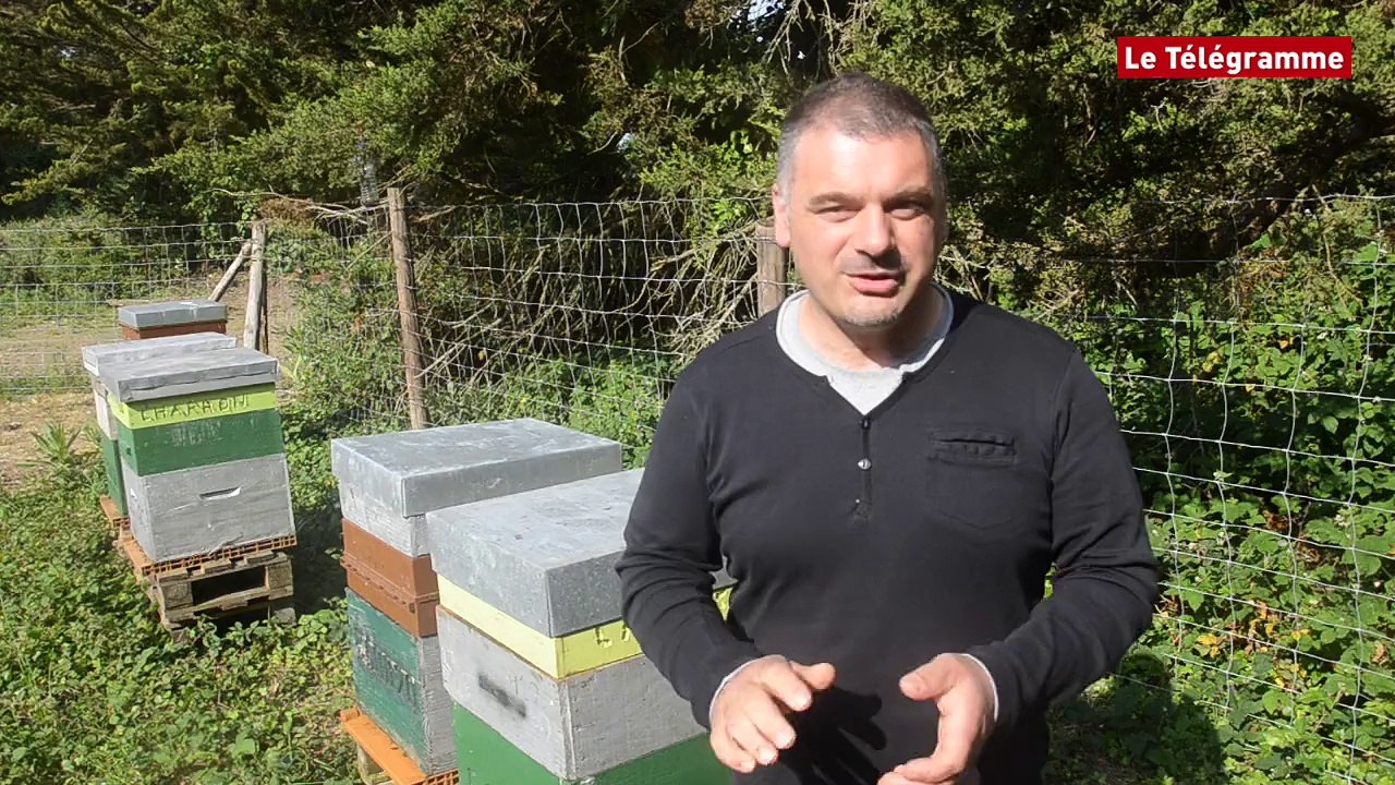 Apiculture. Cinq ruches pour produire le "Miel de Vannes"