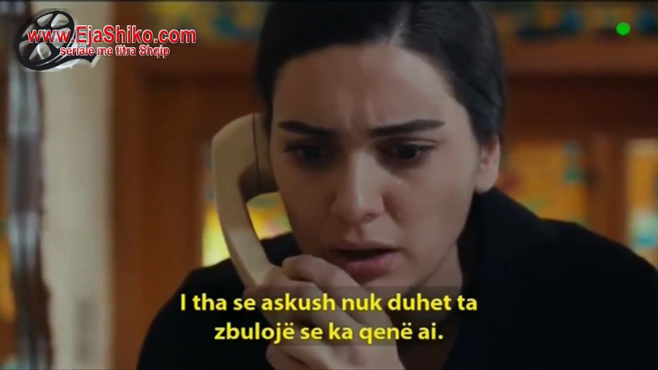 Karadayi pj.295