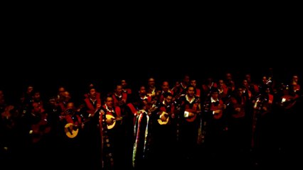 Tuna de Derecho de Sevilla Certamen DUS 2014 El trovador