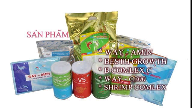 San xuat phim gioi thieu doanh nghiep, Quay phim gioi thieu doanh nghiep, Sản xuất phim giới thiệu doanh nghiệp,