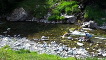 La pêche à la mouche au Tenkara en Béarn Pyrénées et Pays Basque