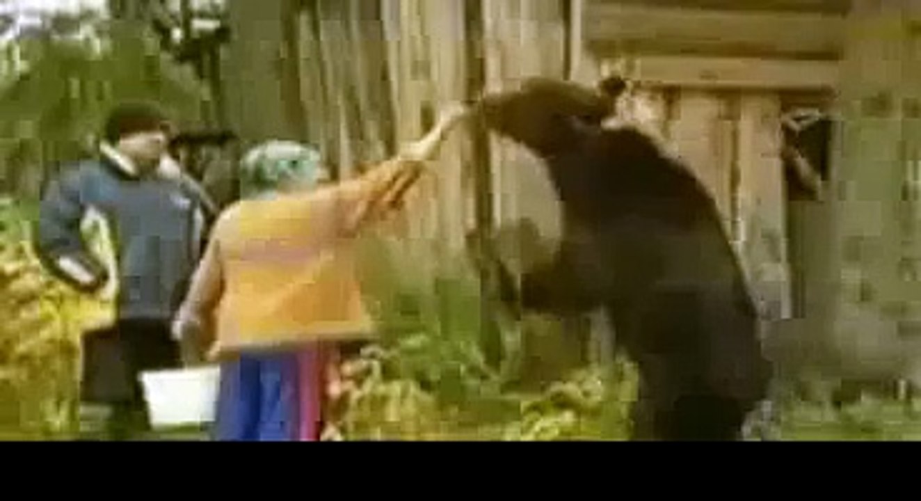 Natural Wild Life Bear Attack 2013