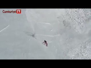 Çığın ortasında kalan tavşan yaşama böyle tutundu