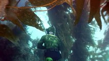 San Clemente Island Diving