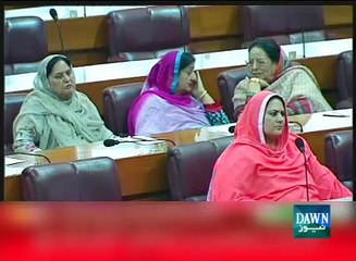 NA passes resolution against persecution of Rohingya Muslims