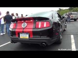 770 whp GT500 Pulled Over by Cops! Amazing Sound!