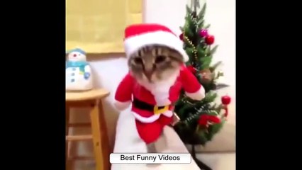 Подборка приколов Февраль 2015 (№3) __ Funny Girls Fails Compilation 2015