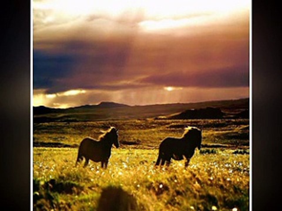 Remember (Pașaport pentru suflet- Florin Chilian)