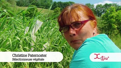 CEREALES ET RECHAUFFEMENT CLIMATIQUE