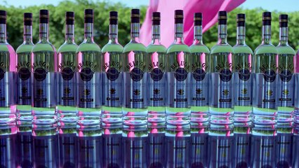 Prince Royce  Back It Up ft. Jennifer Lopez Pitbull