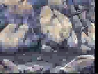 바카라사이트 ▶♩†-( BWP７９。coＭ )-†♥▶바카라사이트ぱ▣