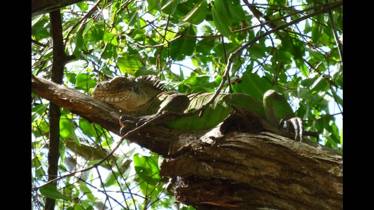 Une ballade en Kayak