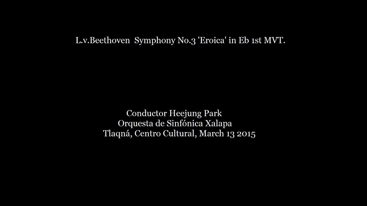 Beethoven Symphony No.3 Eroica 1st MVT.