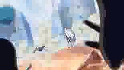 강원랜드친구들＼【ＢＷＰ７９。ＣＯＭ】＼＼인터넷릴게임