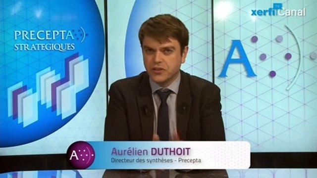 Aurélien Duthoit, Xerfi Canal Efficacité des médias sociaux : de gros doutes