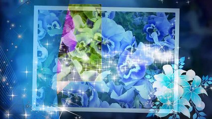 Про цветы Анютины глазки