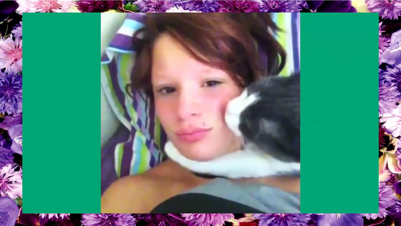 Best Cat Vines !!!