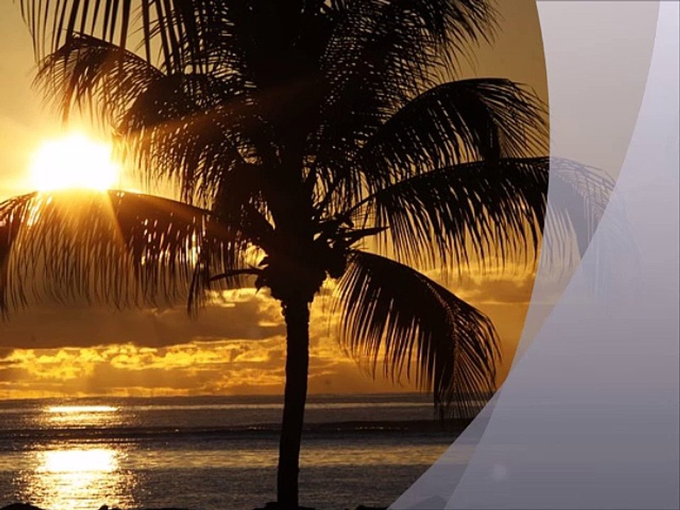 DIK DIK - Io mi fermo qui