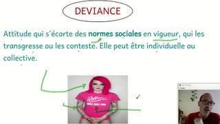 Déviance et délinquance. Notions de sociologie