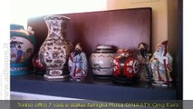 TORINO,    7 VASI E STATUE FAMIGLIA ROSA DINASTY QING  EURO 160