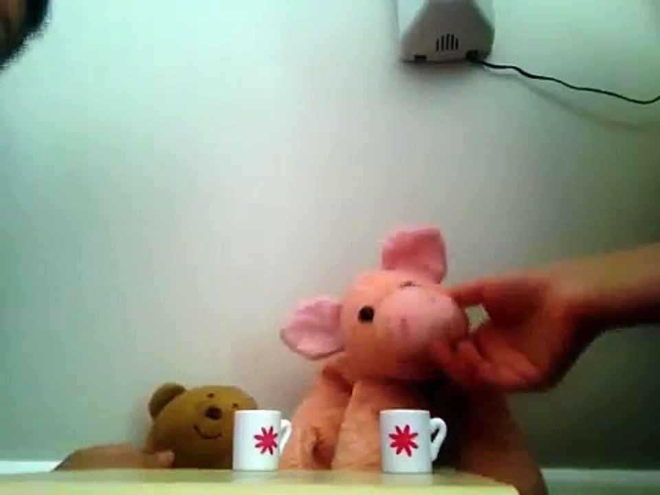 The Piggie and Bear Show