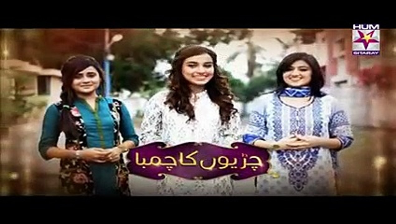 Chirryon Ka Chamba Episode 33 Full High Quality HUMSITARAY TV 10 June 2015