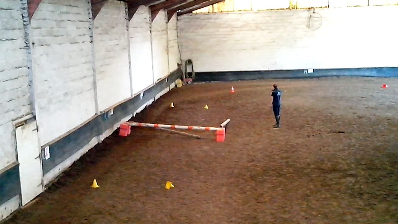 VID_20150610_145335