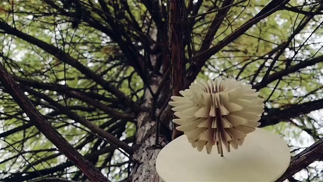 Des sculptures de bois en osmose avec une nature automnale