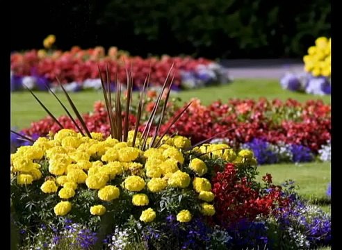 Cantos Catolicos (Apósotoles de la Palabra)