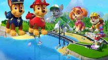 Nursery Song for Kids Paw Patrol Rhymes Collections | Finger Family 3D Nursery Rhymes For