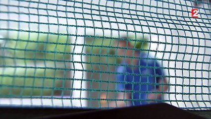 Ils passent le bac à 13 et 14 ans