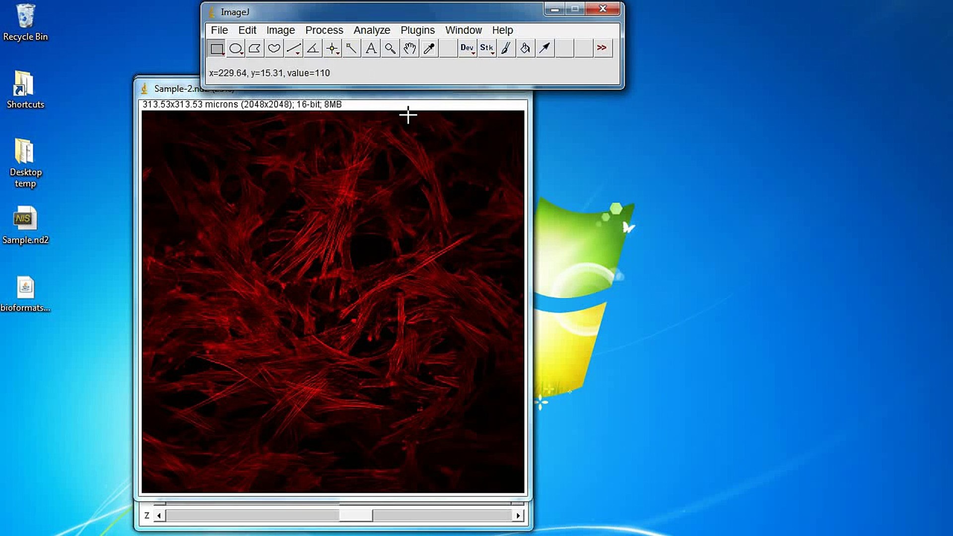 Imagej Tutorial How To Add Scale Bar