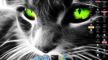 Tutoriel : lancer des applications windows sous mac ( émulation )