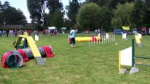 taisnieres agility