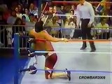 honky tonk man vs jake roberts wwf 87