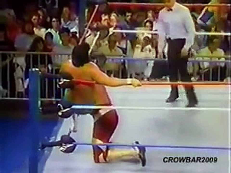 honky tonk man vs jake roberts wwf 87