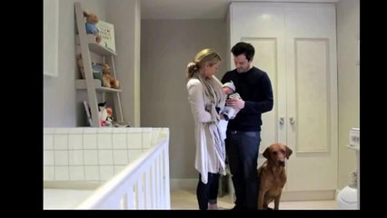 Pregnancy time lapse with Chester the dog!