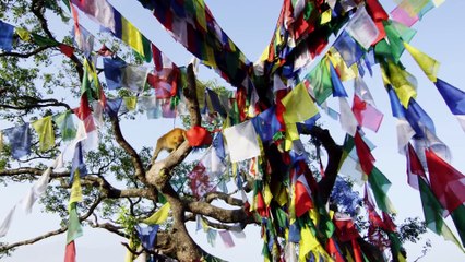 Monkey Temple - Swayambhunath in 4K!