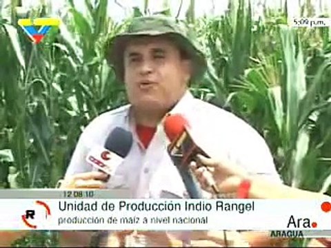 Aragua, Venezuela: Comuna Indio Rangel tiene 235 hectáreas en producción